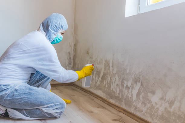 Licensed Commercial Mold Remediation service in Champlin, MN - WQB Mold Removal