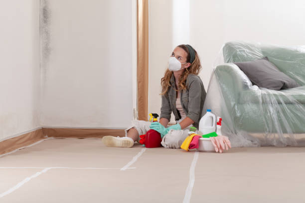 Reliable Commercial Mold Remediation contractor in Champlin, MN by WQB Mold Removal